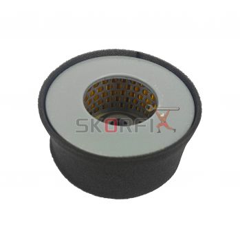 Air cleaner element assy(170)
